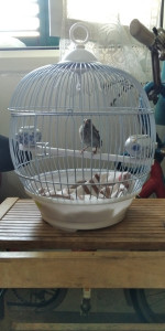 IMG-20210622-WA0005.jpeg