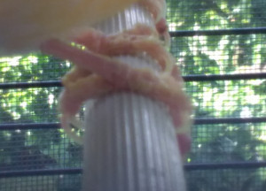 IMG_20210622_103052 (1).jpg