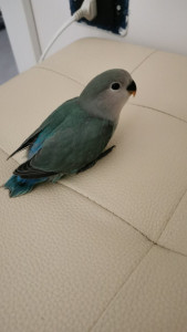 IMG-20210711-WA0105.jpeg