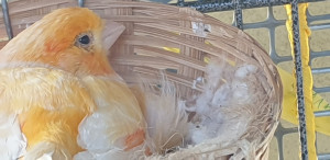 WhatsApp Image 2021-07-21 at 09.05.17.jpeg