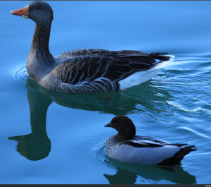 Screenshot_20211106_132240.png