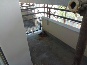 IMG_20220510_124709.jpg