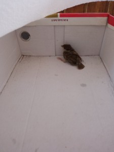IMG_20220720_182458.jpg