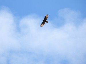 DSCN5169.JPG