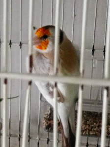 IMG_20221103_065652.jpg