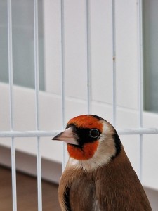 8503C0BF-35E9-44BD-90E1-A76852BF9390.jpeg
