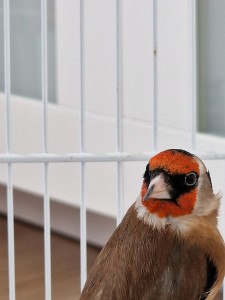 1652C575-2A0C-4E00-BE6D-FEFF07EBCEBC.jpeg