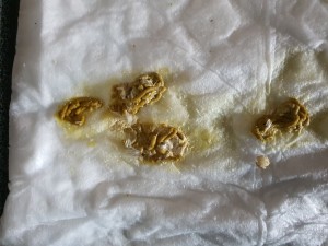 20230521_140909.jpg