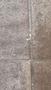 782BABDC-E157-43A9-824B-A946981AB987.jpeg