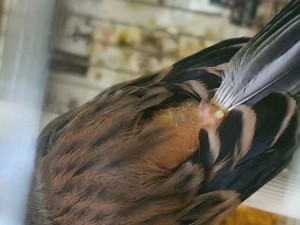 20230618_105135.jpg