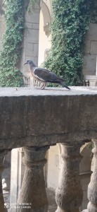 IMG_20230718_143130.jpg