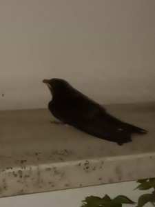 IMG20230820211824.jpg