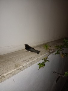 IMG20230820211838.jpg