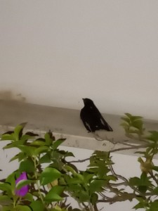 IMG20230820211814.jpg