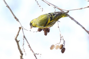 IMG_9810.JPG