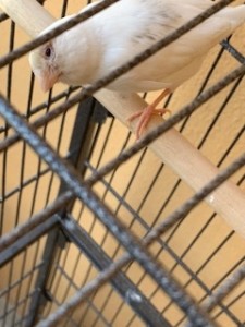 IMG_3888.jpeg