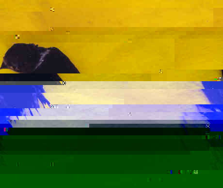 luglio2002.jpg