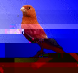 rosso_intenso.jpg