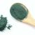 La Spirulina – integratore alimentare naturale per uccelli